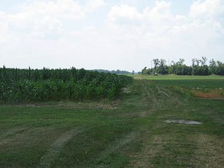 Property photo 2 - 180+/- Acres offered in 2 Tracts Land Auction, Highly Productive Tillable Cropland